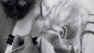 Realistic Pencil Drawing Techniques by JD Hillberry   How Do I Learn To Draw  JD Hillberry [upl. by Madelena]