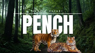 Exciting Pench Tiger reserve safari part 1 [upl. by Adnih]