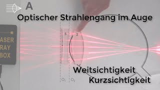 Optischer Strahlengang im Auge Weitsichtigkeit Kurzsichtigkeit Physik Optik Experiment [upl. by Nallad]