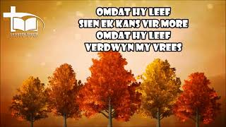 OMDAT HY LEEF SIEN EK KANS VIR MORE  MEGAN VAN TONDER [upl. by Landre]