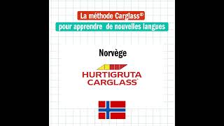 Les slogans Carglass du monde entier  Carglass [upl. by Dnalyk899]