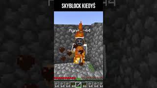 Skyblock minecraft meme skyblock [upl. by Tearle]