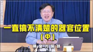 231114【名醫時間】陳皇光醫師：一直搞不清楚的器官位置 中 [upl. by Ordnael]