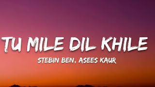 Tum Mile Dil Khile Lyrics  Stebin Ben Asees kaur  7clouds Hindi [upl. by Enyrhtak244]