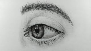 How to Draw Realistic Eyes Step by step for beginners Easy eye drawing tutorial [upl. by Palecek]