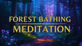 Guided Meditation for Sleep  The Forest Bathing Meditation  SLEEP Meditation [upl. by Samled]