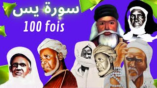 Lamour et la compassion à travers la Sourate Yasin 100 fois سورة يس  Une expérience émouvante [upl. by Eisdnil]