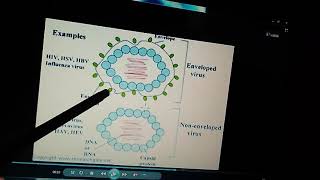 Enveloped and NonEnveloped virusesHindi and urdu [upl. by Enirahtak]