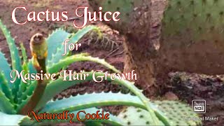 DIY Ep16 Massive Hair Growth  Cactus Juice  Leave In Conditioner [upl. by Filippo655]