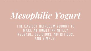 Easiest Home Made Yogurt  Mesophilic Heirloom Cultures Piima and Matsoni [upl. by Balthazar]