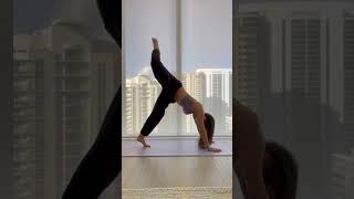 Afternoon free flow at home yoga vinyasa shorts [upl. by Susumu]