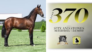 Mr Hard Rock colt  East Coast Standardbred Yearling Sale Lot 370 [upl. by Agnese347]