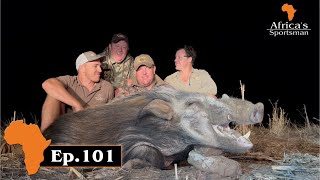 Bushpig from a blind and RunampGun style Africas Sportsman Show Ep 101 [upl. by Naitsabes]