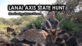 2024 Hawaii State Lanai Axis Hunt [upl. by Atirabrab]