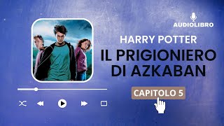 5 Harry Potter e IL PRIGIONIERO DI AZKABAN volume 3 Audiolibro  IL DISSENNATORE [upl. by Korten]