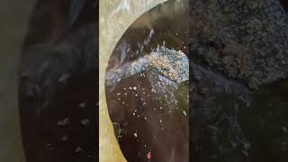 gold prospecting 2024 finding gold in sand gold prospecting for beginners [upl. by Bobseine924]