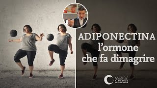 Adiponectina lormone che fa dimagrire [upl. by Fowle]