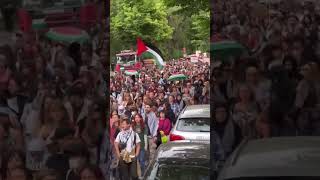 Huge ProPalestine Protest in Berlin Germany palestine freepalestine gaza shorts protest [upl. by Stedt]