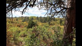 Simms Mesa Trail [upl. by Hamitaf]