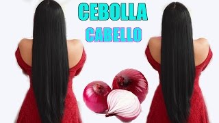 CEBOLLA Crece tu cabello en dias  ganadoras del sorteo fashionbycarol [upl. by Corell]