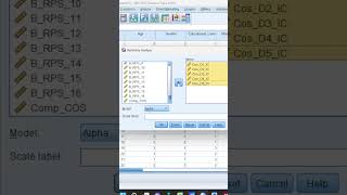 Reliability in spss reliability youtubeshorts viralvideo shorts [upl. by Llehsyar727]