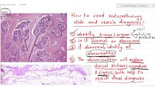 Patho Lab 1 introduction [upl. by Underwood]