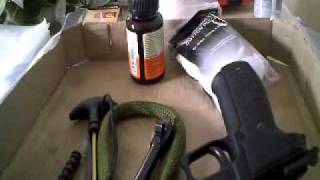 Cleaning the SIG Sauer P226 [upl. by Birkett]