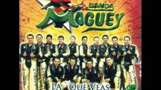 banda maguey dos gotas de agua [upl. by Blanch555]