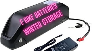 PROTECT Your eBike Battery from WINTER Damage [upl. by Hoxie280]