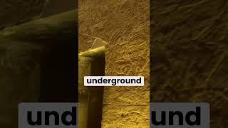 Lost Labyrinth of ancient egypt history ancientegypt egypt ancienthistory [upl. by Hepsoj]