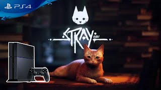 Stray  PS4 FAT GAMEPLAY [upl. by Ahar]