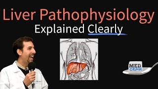 Liver Explained Clearly  Pathophysiology LFTs Hepatic Diseases [upl. by Hna]