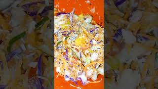 salad coleslawcoleslaw salad without bread [upl. by Favin]