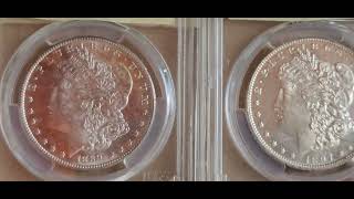 Safely removed my silver Morgan dollar from PCGS holder [upl. by Tedric]