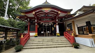 寄木神社⛩️ 大崎 孫の七五三 2024年11月5日 [upl. by Purse]