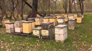 Beechworth Honey [upl. by Claus712]