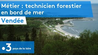 Métier  technicien forestier en bord de mer [upl. by Anual]