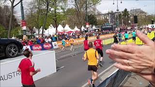 Vienna City Marathon 2019  Zielbereich [upl. by Noyes655]