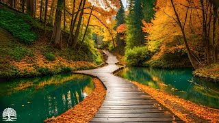 Beautiful Relaxing Music  Soothing Autumn Melodies Mindful and Peaceful Piano Instrumental Music [upl. by Dirk]