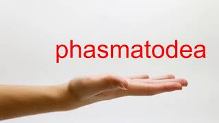 How to Pronounce phasmatodea  American English [upl. by Yhtorod]