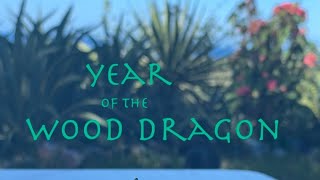 2024 YEAR OF THE CHINESE WOOD DRAGON  DISCUSSION AND PREDICTIONS WITH ELEMENTAL FENG SHUI MASTER [upl. by Beller]