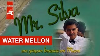 Water Mellon  Mr Silva [upl. by Godbeare]