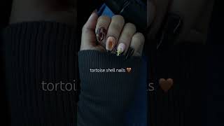 Tortoise Shell Nail Set 🤎 pressonnails tortoiseshell ombre almondnails nailinspo gelxnails [upl. by Annahc]