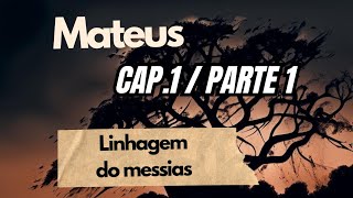 Linhagem do Messias Mateus cap 1  Parte 1 [upl. by Aro215]