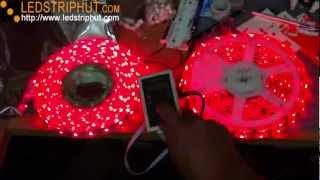 Magic Chaser LED Strip amp RGB LED  LEDSTRIPHUTCOM [upl. by Ebneter]