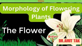 Morphology of Flowering Plants  The Flower  Parts of Flower  Aestivation  TepalPerianthamitsir [upl. by Ardiedak]