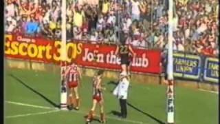 1986 grand final Glenelg v North highlights first half [upl. by Ahsined]