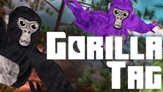 Die Gorillas Episode 2 quotDer Traumquot Verbessertet [upl. by Tremain]