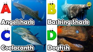 ABC phonics animals  ABC Sea Animals song  English and Animals for Kids  Alphabets Kids Song [upl. by Ethbun]