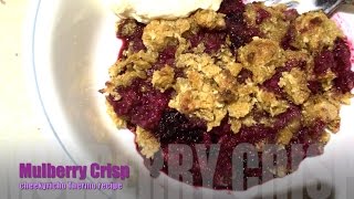 Mulberry Crumble or Crisp cheekyricho Easy Thermo video recipe episode 1127 [upl. by Asila]